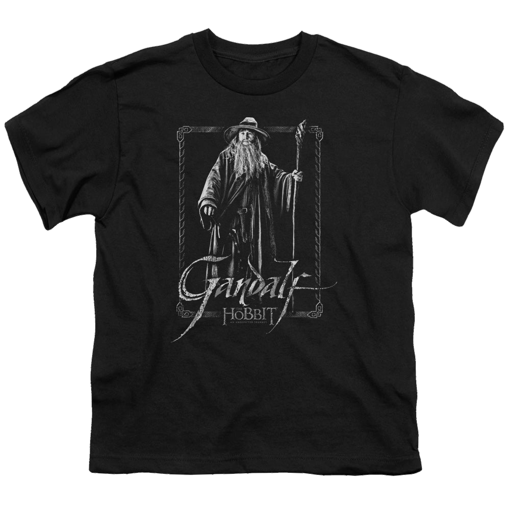 Hobbit Movie Trilogy, The Gandalf Stare - Youth T-Shirt Youth T-Shirt (Ages 8-12) The Hobbit
