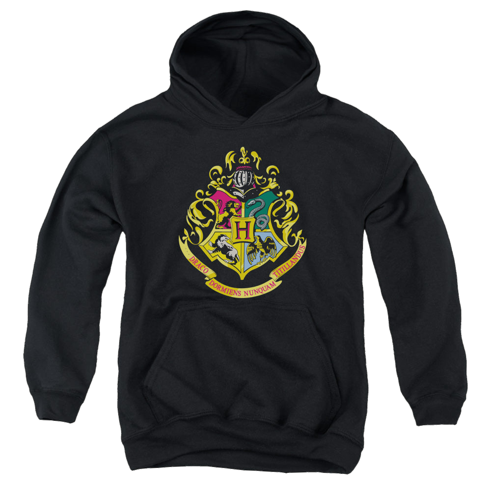 Harry Potter Hogwarts Crest - Youth Hoodie Youth Hoodie (Ages 8-12) Harry Potter