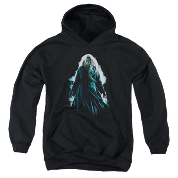 Harry Potter Dumbledore Burst - Youth Hoodie Youth Hoodie (Ages 8-12) Harry Potter