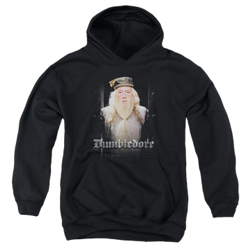 Harry Potter Dumble Doors - Youth Hoodie Youth Hoodie (Ages 8-12) Harry Potter