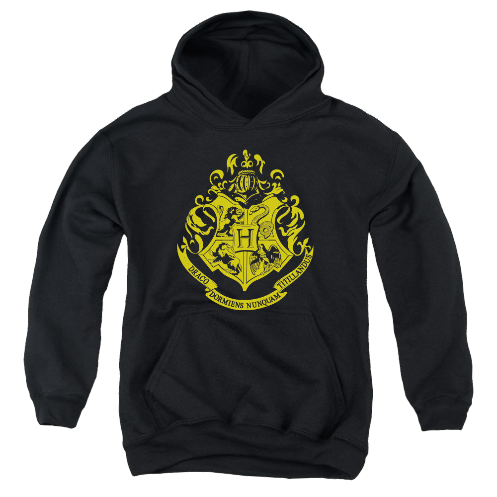 Harry Potter Hogwarts Crest - Youth Hoodie Youth Hoodie (Ages 8-12) Harry Potter
