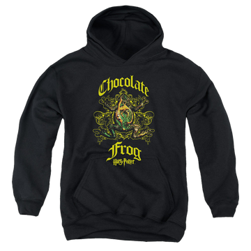 Black youth hoodie for ages 8 to 12 with Harry Potter Chocolate Frog graphic