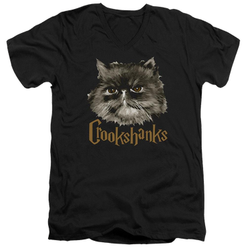 Black men's v-neck t-shirt with Harry Potter Crookshanks graphic