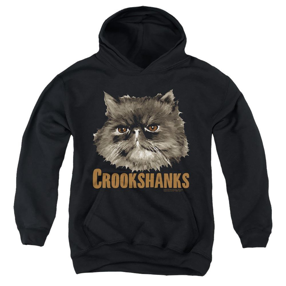 Harry Potter Crookshanks - Youth Hoodie Youth Hoodie (Ages 8-12) Harry Potter