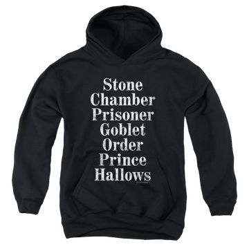 Harry Potter Titles - Youth Hoodie Youth Hoodie (Ages 8-12) Harry Potter