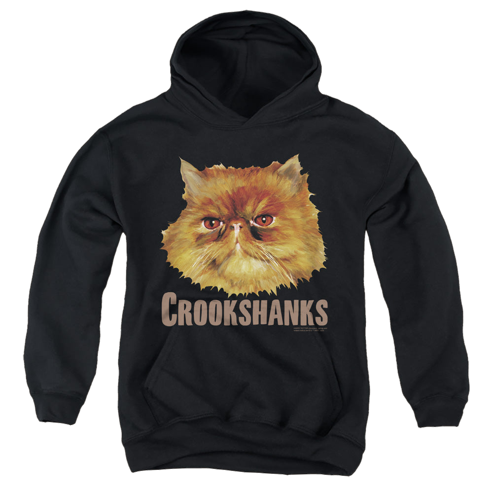 Harry Potter Crookshanks Color - Youth Hoodie Youth Hoodie (Ages 8-12) Harry Potter