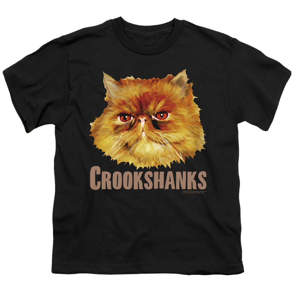 Harry Potter Crookshanks Color - Youth T-Shirt Youth T-Shirt (Ages 8-12) Harry Potter