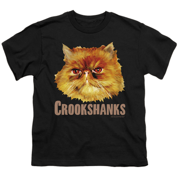 Black youth t-shirt for ages 8 to 12 with Harry Potter Crookshanks Color graphic