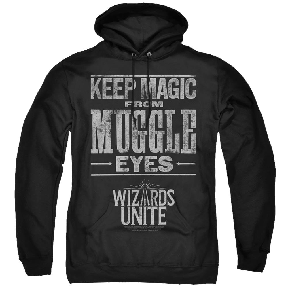 Harry Potter Hidden Magic - Pullover Hoodie Pullover Hoodie Harry Potter