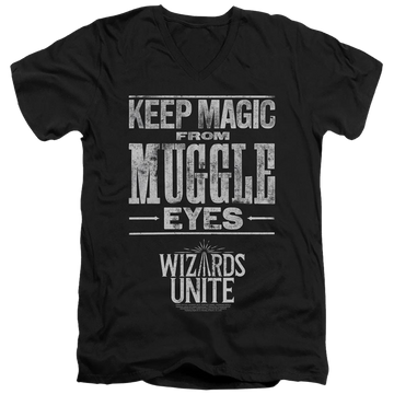 Black men's v-neck t-shirt with Harry Potter Hidden Magic graphic