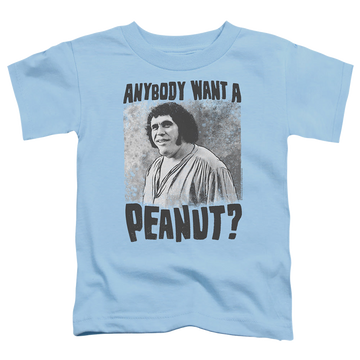 Light blue kid's t-shirt for ages 4 to 7 with The Princess Bride A Giant Snack graphic