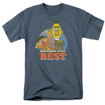 Slate men's regular fit t-shirt with Sesame Street Bert & Ernie Friendship Level: Best graphic