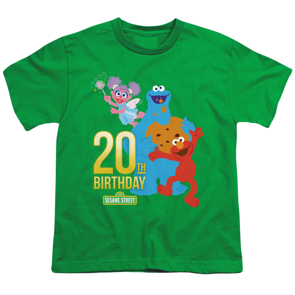 Sesame Street 20Th Birthday Group - Youth T-Shirt Youth T-Shirt (Ages 8-12) Sesame Street