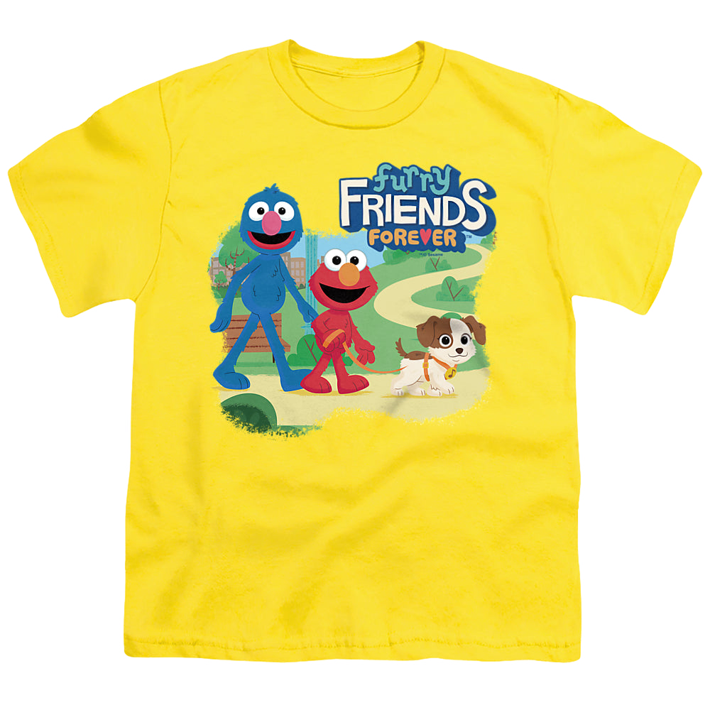 Sesame Street Take A Walk - Youth T-Shirt Youth T-Shirt (Ages 8-12) Sesame Street