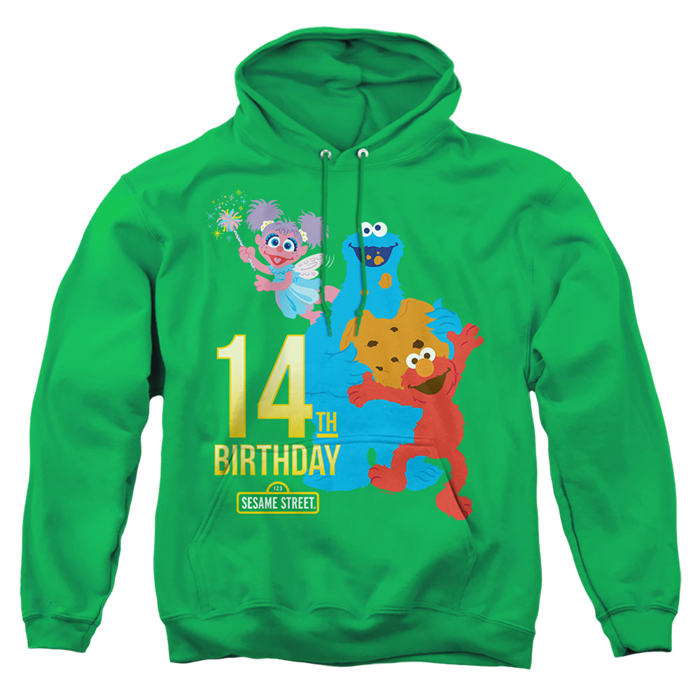 Sesame Street 14Th Birthday - Pullover Hoodie Pullover Hoodie Sesame Street