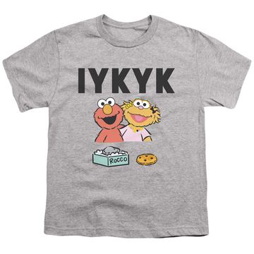 Athletic heather youth t-shirt for ages 8 to 12 with Sesame Street If You Know You Know graphic