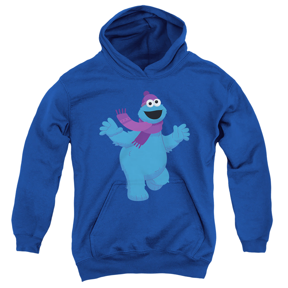 Sesame Street Furry Friends Forever! Cookie Monster - Youth Hoodie Youth Hoodie (Ages 8-12) Sesame Street