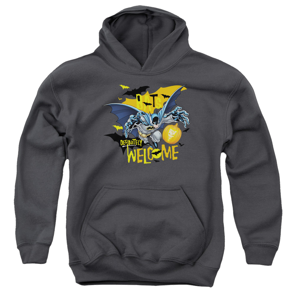 DC Batman Bats Welcome - Youth Hoodie Youth Hoodie (Ages 8-12) Batman