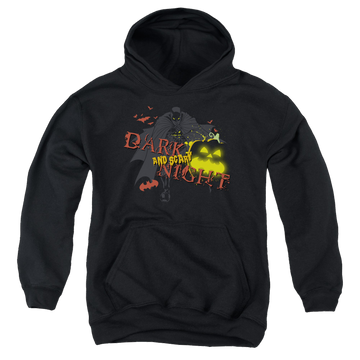 DC Batman Dark And Scary Night - Youth Hoodie Youth Hoodie (Ages 8-12) Batman