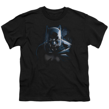 DC Batman Dont Mess With The Bat - Youth T-Shirt Youth T-Shirt (Ages 8-12) Batman