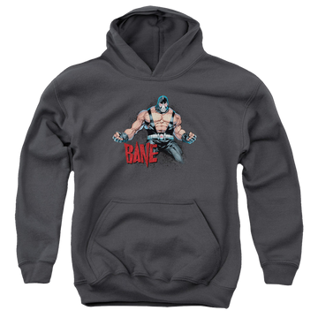 Charcoal youth hoodie for ages 8 to 12 with Bane Flex graphic