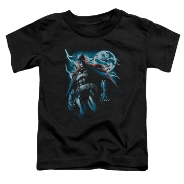 DC Batman Stormy Knight - Toddler T-Shirt Toddler T-Shirt Batman