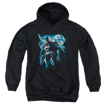 DC Batman Stormy Knight - Youth Hoodie Youth Hoodie (Ages 8-12) Batman