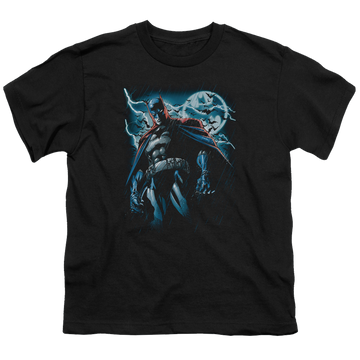 DC Batman Stormy Knight - Youth T-Shirt Youth T-Shirt (Ages 8-12) Batman