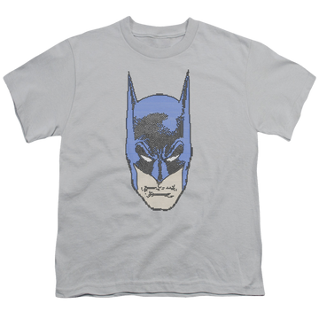 DC Batman Bitman - Youth T-Shirt Youth T-Shirt (Ages 8-12) Batman