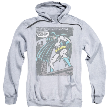 DC Batman Bat Origins - Pullover Hoodie Pullover Hoodie Batman
