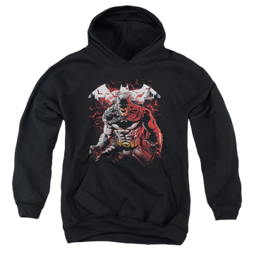 DC Batman Raging Bat - Youth Hoodie Youth Hoodie (Ages 8-12) Batman