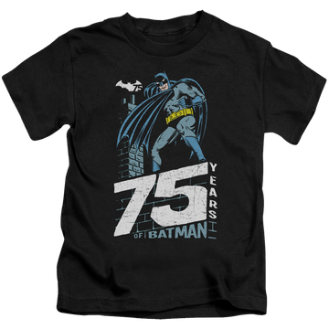 DC Batman Rooftop - Kid's T-Shirt Kid's T-Shirt (Ages 4-7) Batman