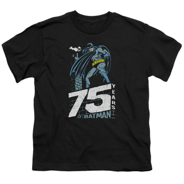 DC Batman Rooftop - Youth T-Shirt Youth T-Shirt (Ages 8-12) Batman