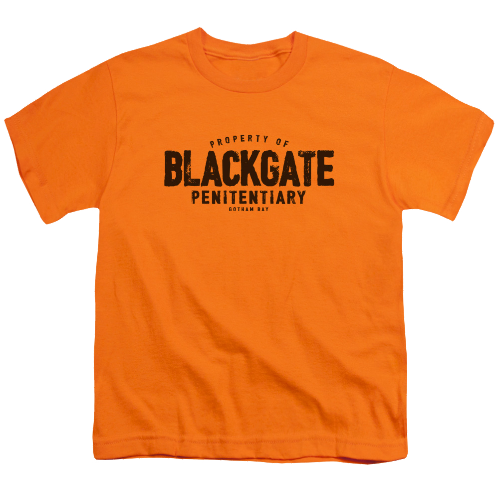 DC Batman Blackgate - Youth T-Shirt Youth T-Shirt (Ages 8-12) Batman