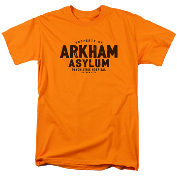 Batman Arkham Asylum - Men's Regular Fit T-Shirt Men's Regular Fit T-Shirt Batman