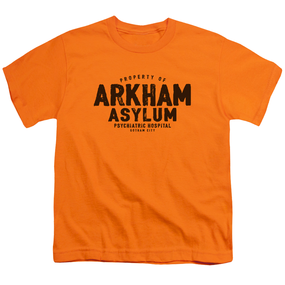 DC Batman Arkham Asylum - Youth T-Shirt Youth T-Shirt (Ages 8-12) Batman