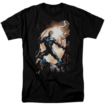 Black men's regular fit t-shirt with Batman Nightwing Against Owls graphic