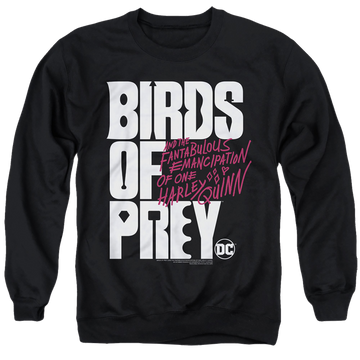 Black men's crewneck sweatshirt with Birds of Prey Logo graphic