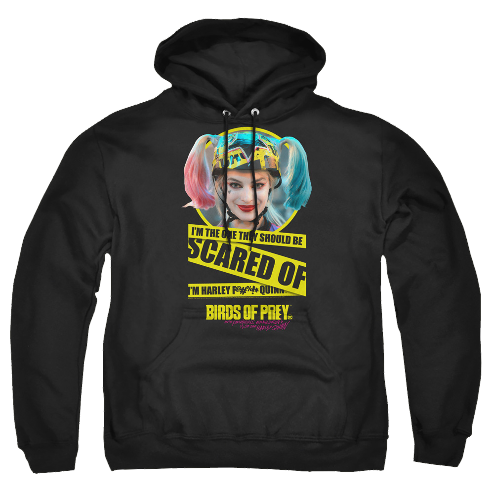 Birds of Prey Scared Of - Pullover Hoodie Pullover Hoodie Birds of Prey