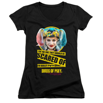 Birds of Prey Scared Of - Juniors V-Neck T-Shirt Juniors V-Neck T-Shirt Birds of Prey