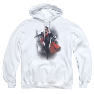 Batman v Superman A New Dawn - Pullover Hoodie Pullover Hoodie Batman