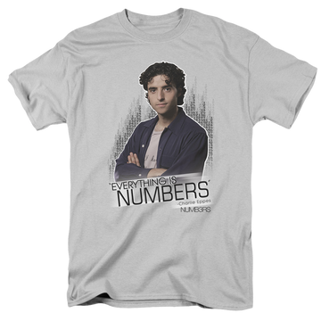 Silver men's regular fit t-shirt with Everything Is Numbers graphic
