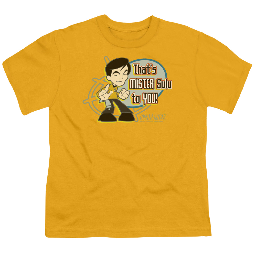Star Trek The Original Series Mr Sulu To You - Youth T-Shirt Youth T-Shirt (Ages 8-12) Star Trek