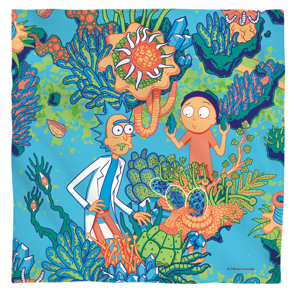 Rick and Morty Botanical Space Rick And Morty - Bandana Bandanas Rick and Morty