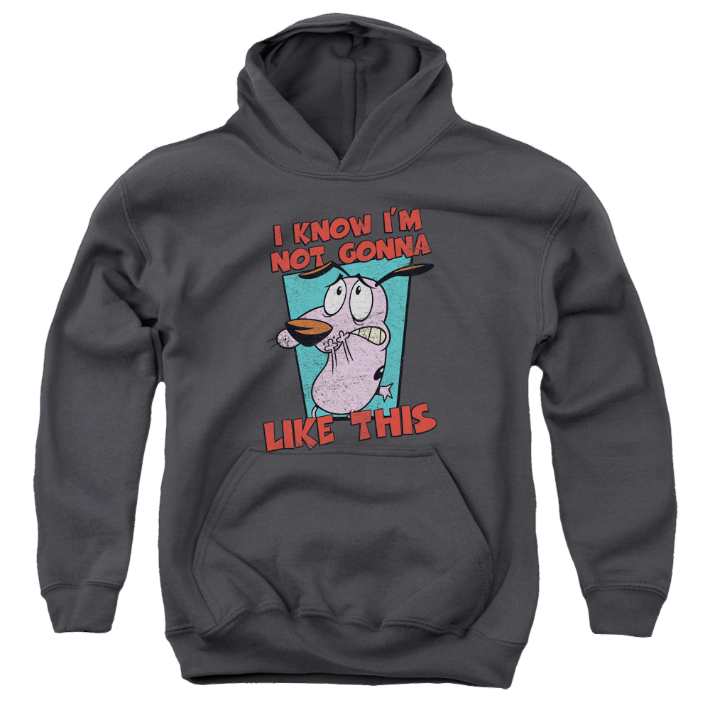 Courage the Cowardly Dog Not Gonna Like - Youth Hoodie Youth Hoodie (Ages 8-12) Courage the Cowardly Dog