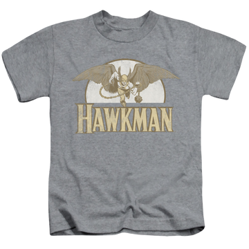 Athletic heather kid's t-shirt for ages 4 to 7 with Hawkman Fly By graphic