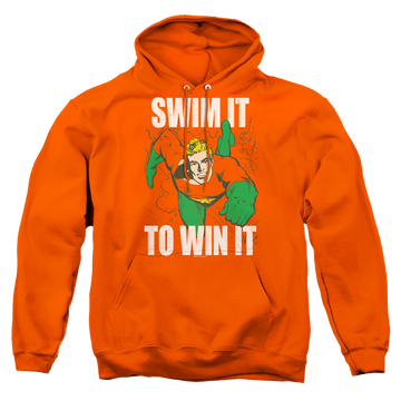 Aquaman Swim It - Pullover Hoodie Pullover Hoodie Aquaman