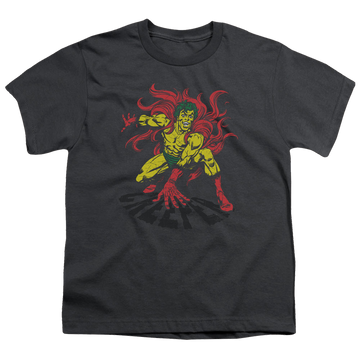 Charcoal youth t-shirt for ages 8 to 12 with DC Comics More DC Characters Creeper graphic