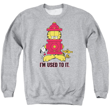 Athletic heather men's crewneck sweatshirt with Garfield I'm Used To It graphic