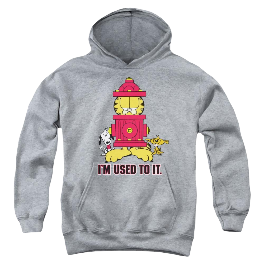 Garfield Im Used To It - Youth Hoodie (Ages 8-12) Youth Hoodie (Ages 8-12) Garfield